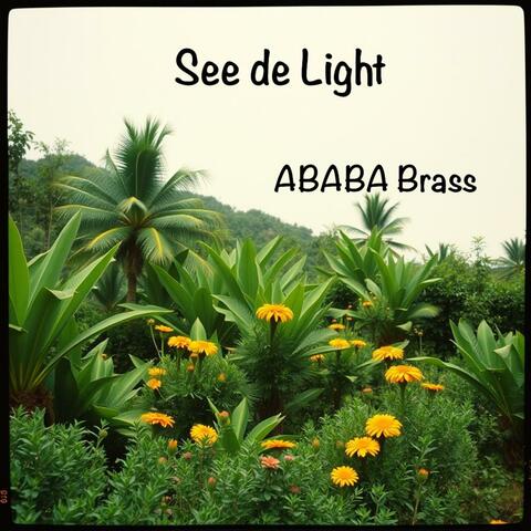 See de Light