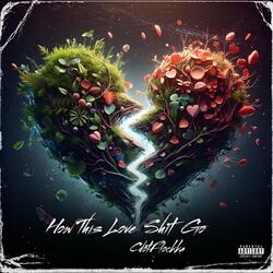 Hoe This Love Shit Go
