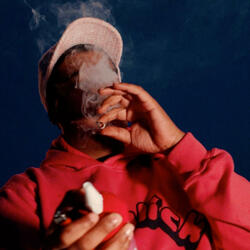 starwhipped (feat. bollywood beed)