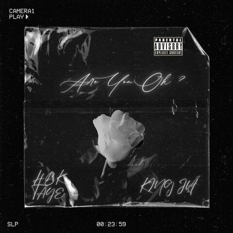 Are You Ok (feat. King Ju & Hbk Taye)