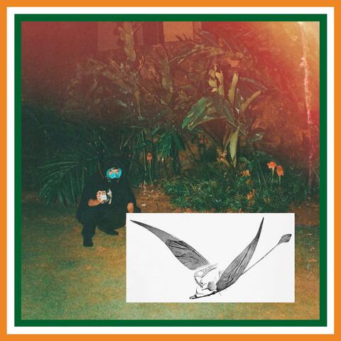 Rhamphorhynchus