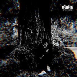 CANT DO NUN FOR ME (feat. Voolie)