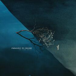 PARALLEL PROTOCOL