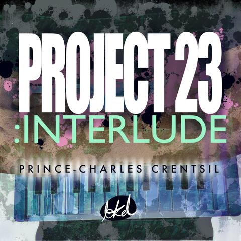 Project 23: Interlude