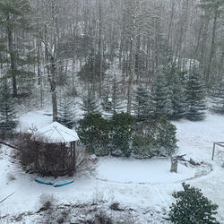 To Behold You Is To Love You