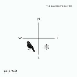 The Blackbird's dilemma