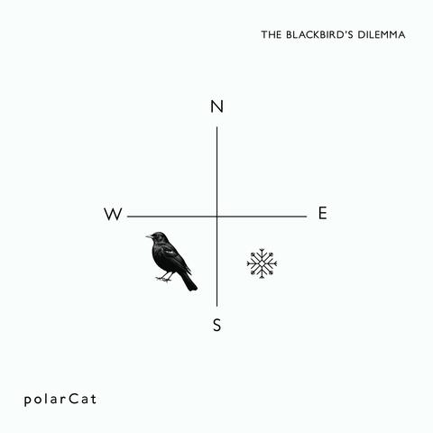 The Blackbird's dilemma