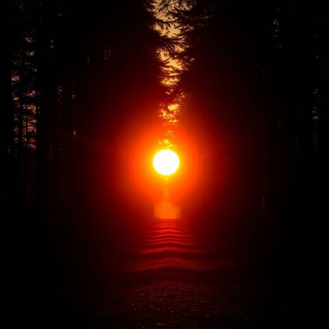 The Path of Dreams