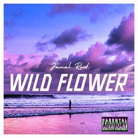 Wild Flower