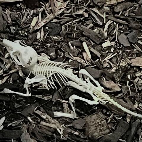 BANK (feat. DA REAL OZI, MRE & Flaco)