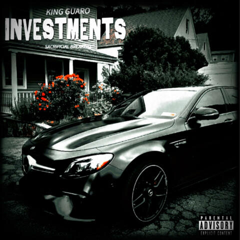 INVESTMENTS