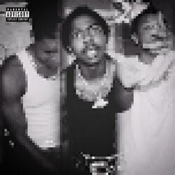 TRYNNA HOOP (feat. NTL Low & D2Savage)