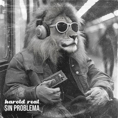 Sin Problema