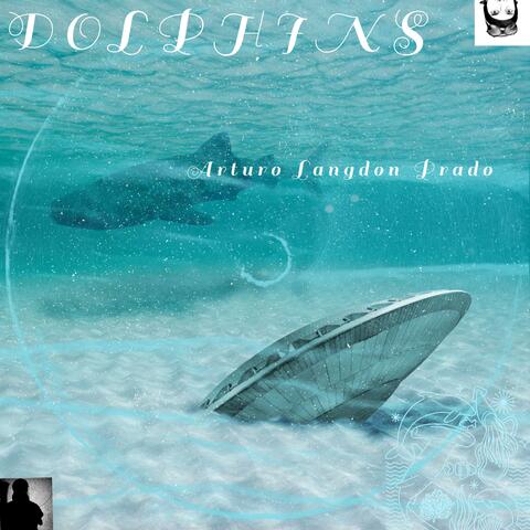 Dolphins