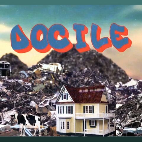 DOCILE