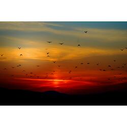 The Dawn of Change