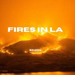 Fires In LA