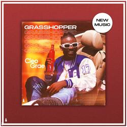 Grasshopper