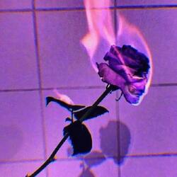 FIRE AND LOVE TRAP BEAT