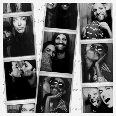 Never Gonna Fall in Love