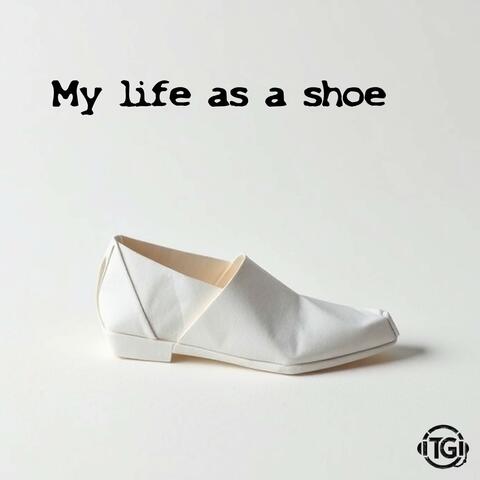 My life as a shoe