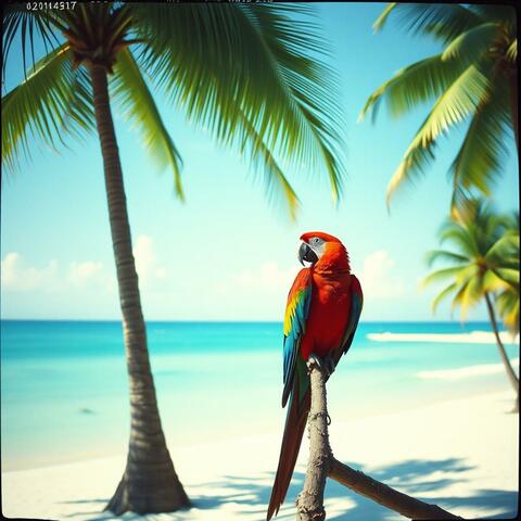 Island Love