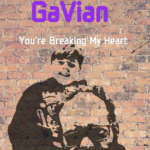 You're Breaking My Heart