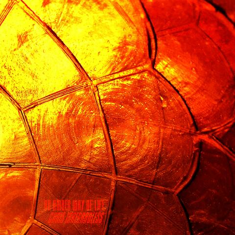 An Amber Way Of Life