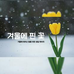 겨울에 핀 꽃
