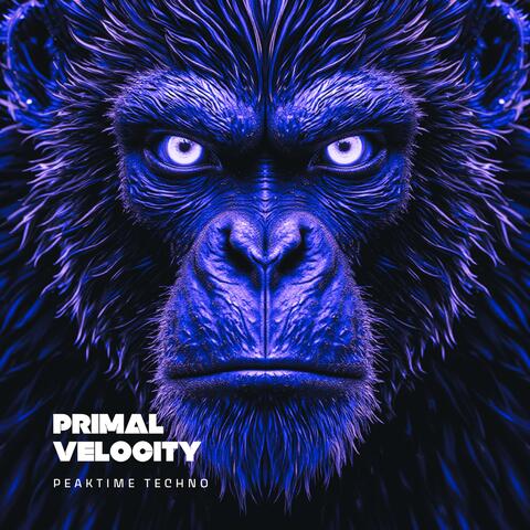 Primal Velocity | PeakTime Techno | EDM