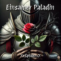 Einsamer Paladin