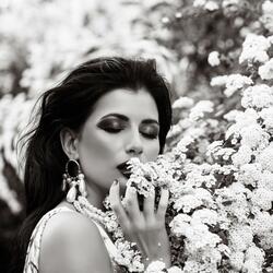 عيناك قصيدة