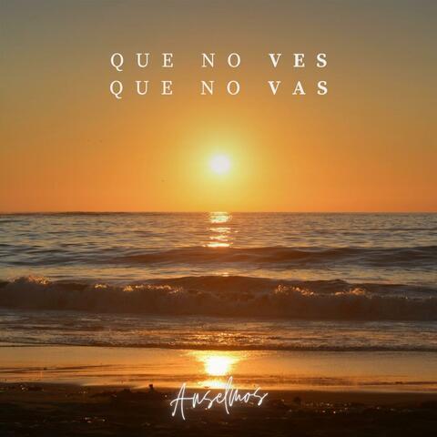 Que no ves que no vas