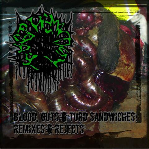 Blood, Guts & Turd Sandwiches: Remixes & Rejects