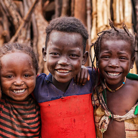 Ndu Ndụ mmadụ (Life of Humanity)