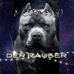 Räuber (feat. Mr.Crime030 & Wantedbeats36)
