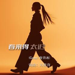 春来得太迟(混音版)