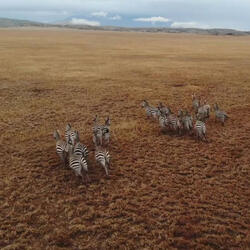 Safari Yetu (Our Journey)