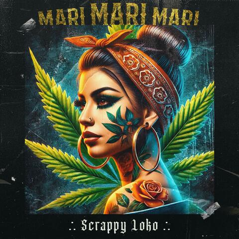 Mari mari mari