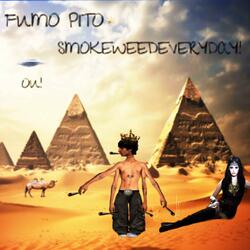 FUMO PITO!