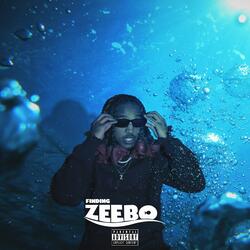 Finding Zeebo