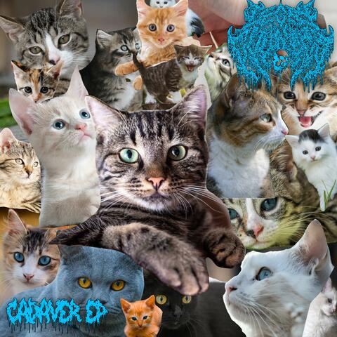 Cadaver E.P