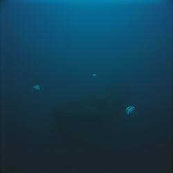 Submerged in Silence