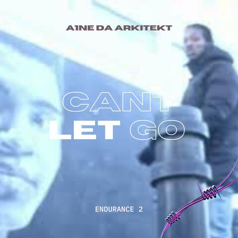Cant Let Go