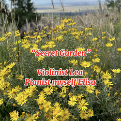 Secret Garden (Piano & Violin)