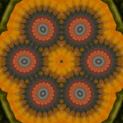 Organism (Fast Version 2025 Remaster)