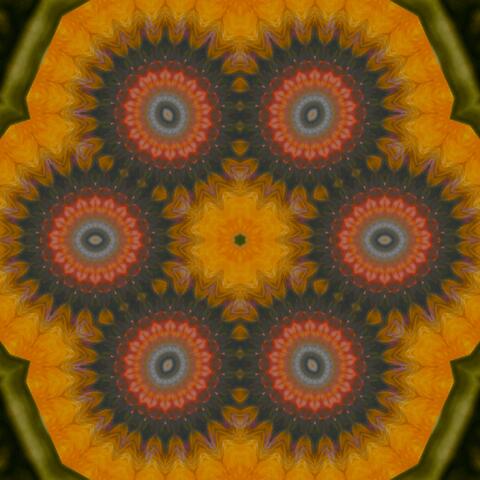 Organism