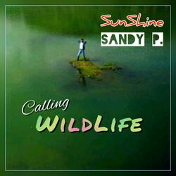Calling Wildlife (Go Travel)