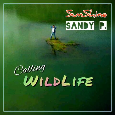 Calling Wildlife (Go Travel)