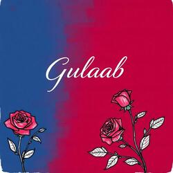 Gulaab